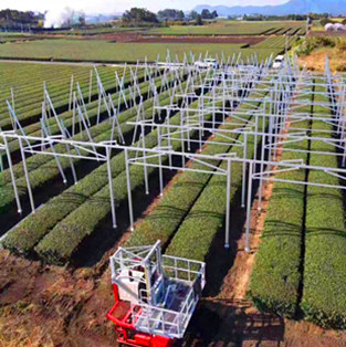 Photovoltaic Farmland Mounting System in Japan-100KW