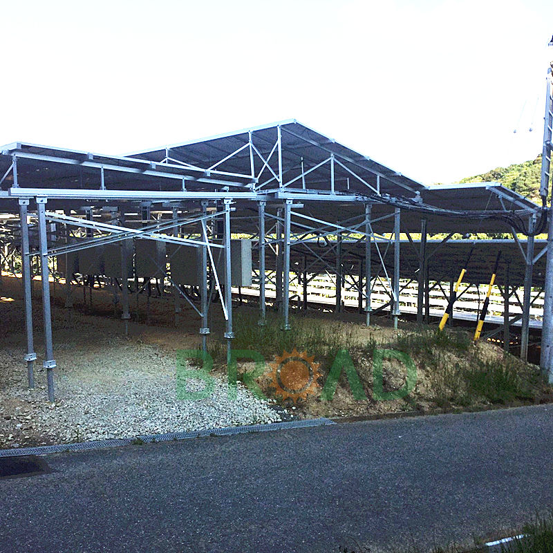 solar panels on ground