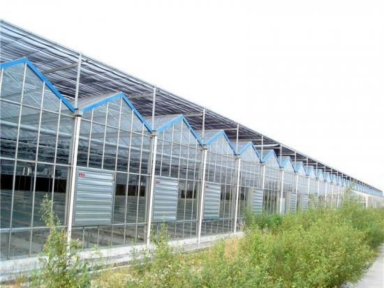 Ground mount for a greenhouse inside