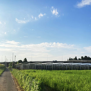 Photovoltaic Farmland Mounting System in Japan-1MW