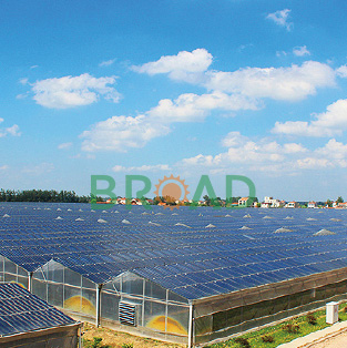 Greenhouse Solar Mounting System for 5.5MW in Spain